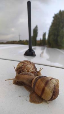 Прикрепленное изображение: IMG_20191005_174123.jpg